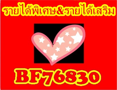 รายได้พิเศษ