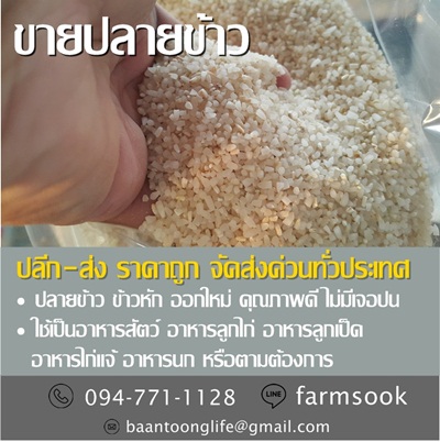 ขายปลายข้าว