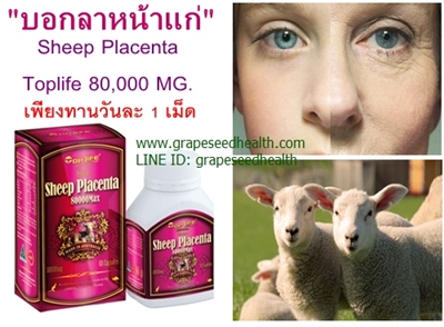 ปลีกส่ง