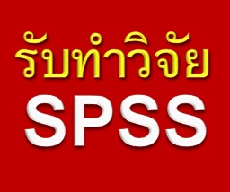 รับทำงานวิจัย