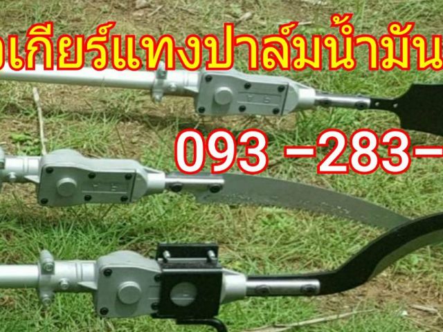 เครื่องตัดปาล์มน้ำมัน