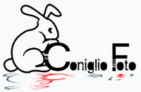 coniglio