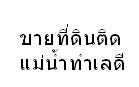 ขายที่ติดแม่น้ำป่าสัก