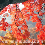 varietyholiday.com