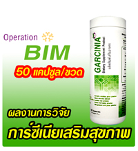 ฺBim100