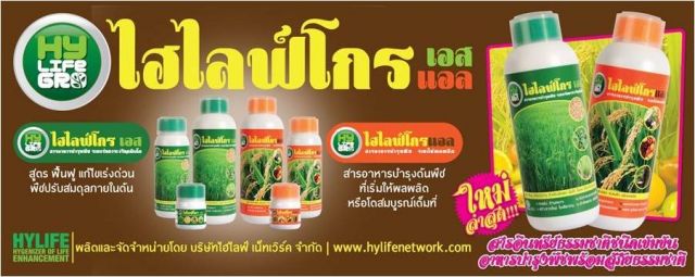 Hylifegroนวัตกรรมใหม่ล่าสุด