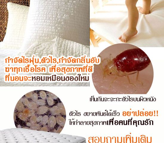 บริการซักที่นอน