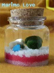 Marimo