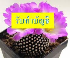 รับทำบัญชี