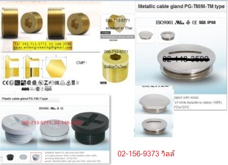 Stopping-Plug-ปลั๊กอุดกันระเบิด-CMP