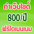 รับทำเว็บไซต์ราคาถูก