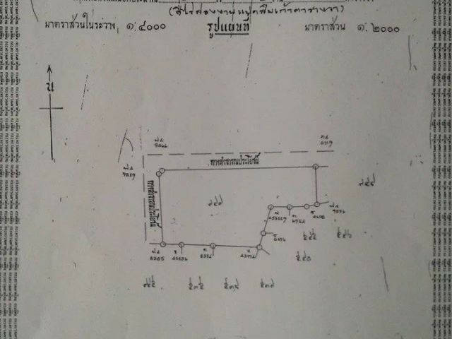 ขายที่ดินตบ้านเกาะ