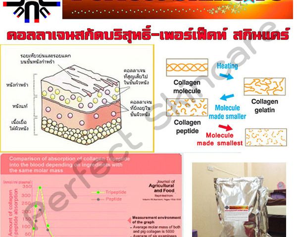 คอลลาเจนcollagenไตรเปปไทด์