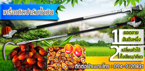 ขายเครื่องตัดปาล์ม