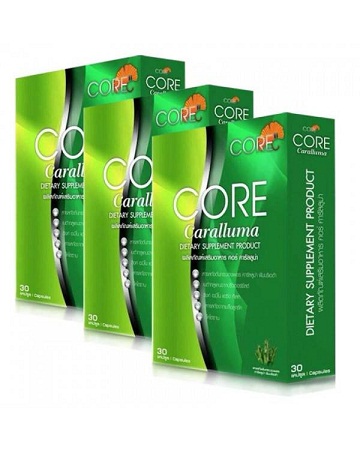 Core