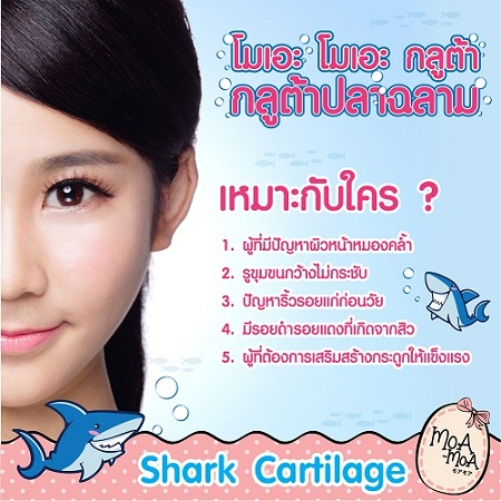 เทคนิคการทาน