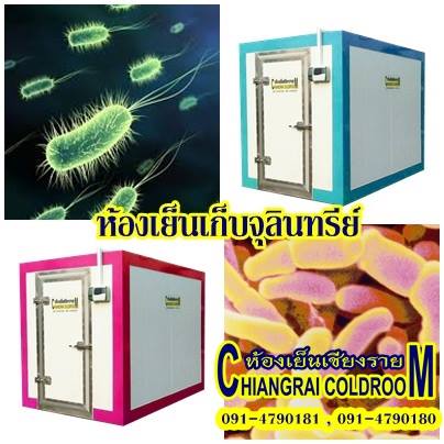 ห้องเย็นเชียงรายสำหรับแช่จุลินทรีย์