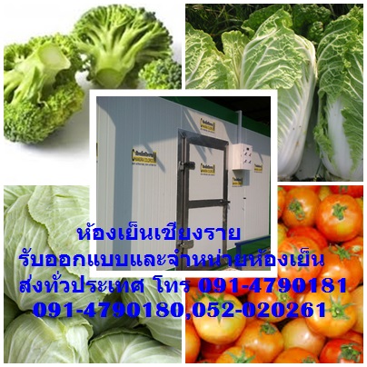 ห้องเย็นเชียงรายสำหรับแช่ผักสวนครัว