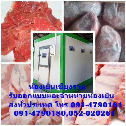 ห้องเย็นเชียงรายแบบสำเร็จรูปแบบตั้งพื้นสำหรับแช่หมู