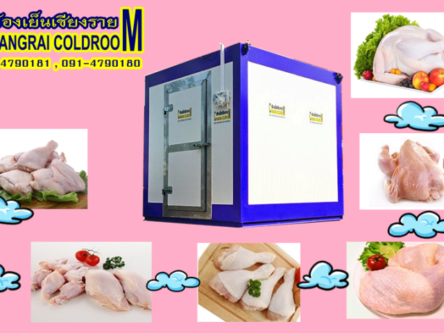 ห้องเย็นตั้งพื้นแบบสำเร็จรูปสำหรับแช่ชิ้นสวนไก่