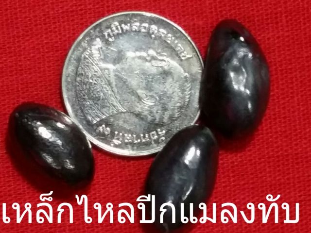 เหล็กไหลสีปีกแมลงทับ