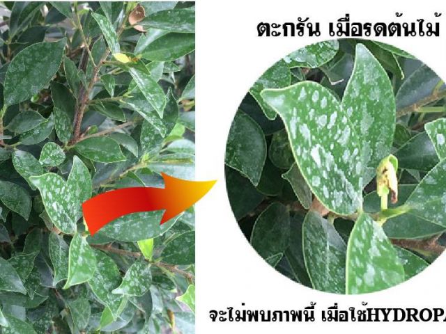 ขายเครื่องกำจัดตะกรันป้องกันตะกรัน