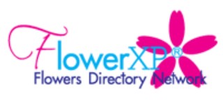 flowerxp