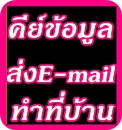 รับคนคีย์ข้อมูล