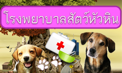 โรงพยาบาลสัตว์หัวหิน