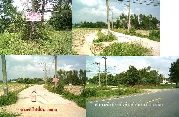 ขายที่ดิน-ให้เช่า