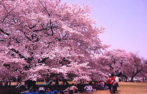 KYUSHU