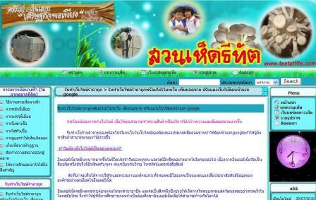 ทำเว็บเปิดร้านขายของผ่านเน็ต